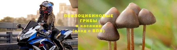 МДМА Арсеньев