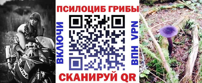 Псилоцибиновые грибы Magic Shrooms Белово
