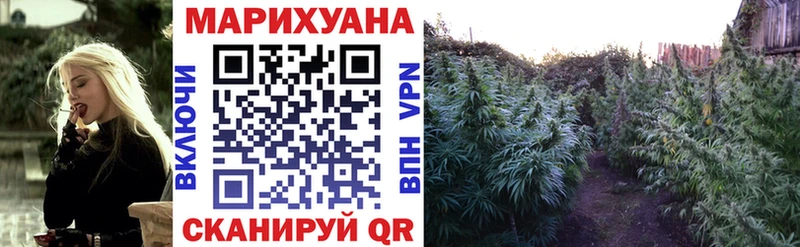 Конопля SATIVA & INDICA  Белово 